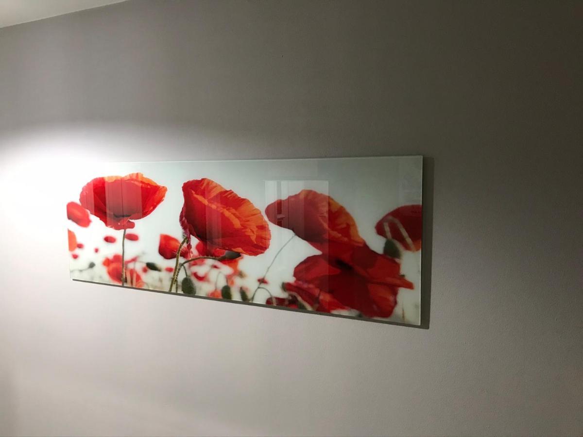 Flanders Fields Apartment Dingwall Exterior photo
